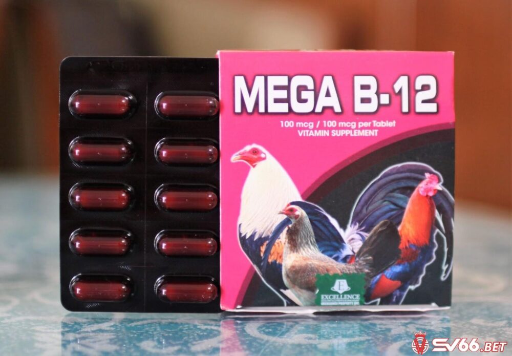 Thuốc tăng bo cho gà đá Mega B12 giúp mang đến nhiều lợi ích khi sử dụng đúng